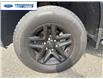 2022 Chevrolet Silverado 1500 LTD Custom Trail Boss (Stk: NG107868P) in Wallaceburg - Image 10 of 24 2022 Chevrolet Silverado 1500 LTD Custom Trail Boss (Stk: NG107868P) in Wallaceburg - Image 10 of 24