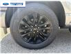 2024 Ford F-150 XLT (Stk: RFB07302) in Wallaceburg - Image 10 of 25