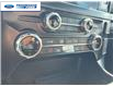 2024 Ford F-150 XLT (Stk: RFB07302) in Wallaceburg - Image 19 of 25