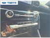 2023 Ford Explorer ST-Line (Stk: PGB48217T) in Wallaceburg - Image 19 of 26