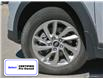 2017 Hyundai Tucson Premium (Stk: N2086A) in Welland - Image 6 of 27