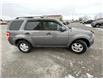 2011 Ford Escape XLT Automatic Grey