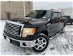 2012 Ford F-150 FX4 (Stk: W1056AXZ) in Barrie - Image 8 of 20