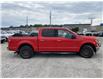 2017 Ford F-150 XLT (Stk: X0389AJZ) in Barrie - Image 2 of 28