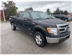 2013 Ford F-150 XLT (Stk: W1111AZ) in Barrie - Image 1 of 11