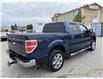 2013 Ford F-150 XLT (Stk: W1178AXZ) in Barrie - Image 3 of 28
