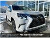 2020 Lexus GX 460 Base (Stk: 230234A) in Calgary - Image 1 of 15