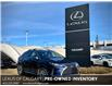 2022 Lexus RX 350 Base (Stk: 250576A) in Calgary - Image 1 of 25