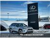 2024 Toyota RAV4 Prime XSE (Stk: 250101LA) in Calgary - Image 1 of 24