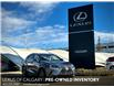 2018 Lexus NX 300 Base (Stk: 250566A) in Calgary - Image 1 of 23