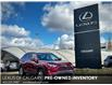 2024 Toyota RAV4 XLE (Stk: 250070LA) in Calgary - Image 1 of 23