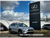 2023 Toyota RAV4 Prime SE (Stk: 250581A) in Calgary - Image 1 of 23
