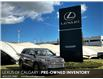 2017 Toyota Highlander Hybrid XLE (Stk: 250868A) in Calgary - Image 1 of 24