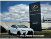 2022 Lexus NX 350 Base (Stk: 250871A) in Calgary - Image 1 of 23