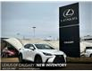 2025 Lexus NX 350 Base (Stk: 250620) in Calgary - Image 1 of 24