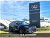 2025 Lexus NX 250 Base (Stk: 250757) in Calgary - Image 1 of 27