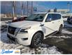 2021 Nissan Armada Platinum (Stk: 9091) in Thunder Bay - Image 1 of 13