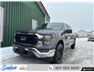 2023 Ford F-150 XLT (Stk: 9262R) in Thunder Bay - Image 1 of 20