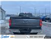 2023 Ford F-150 XLT (Stk: 9262R) in Thunder Bay - Image 4 of 20