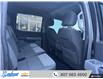 2023 Ford F-150 XLT (Stk: 9262R) in Thunder Bay - Image 11 of 20