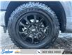 2023 Ford F-150 XLT (Stk: 9262R) in Thunder Bay - Image 15 of 20