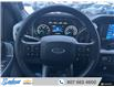 2023 Ford F-150 XLT (Stk: 9262R) in Thunder Bay - Image 16 of 20