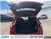 2020 Chevrolet Equinox LT (Stk: T424A) in Thunder Bay - Image 14 of 20