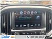 2018 Chevrolet Colorado ZR2 (Stk: T447A) in Thunder Bay - Image 18 of 20