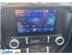 2020 Ford Mustang (Stk: T527A) in Thunder Bay - Image 11 of 14 2020 Ford Mustang (Stk: T527A) in Thunder Bay - Image 11 of 14