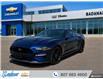 2020 Ford Mustang  (Stk: T527A) in Thunder Bay - Image 1 of 14