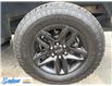2022 Chevrolet Silverado 1500 LTD LT Trail Boss (Stk: T581A) in Thunder Bay - Image 9 of 13