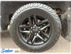 2022 Chevrolet Silverado 1500 LTD LT Trail Boss (Stk: 9288A) in Thunder Bay - Image 6 of 18