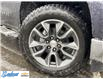 2023 Chevrolet Silverado 1500 LT (Stk: P028) in Thunder Bay - Image 9 of 20