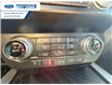 2020 Ford F-150 Platinum (Stk: LFB72020) in Wallaceburg - Image 19 of 26