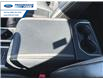 2020 Ford F-150 Platinum (Stk: LFB72020) in Wallaceburg - Image 21 of 26