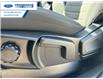 2023 Ford Ranger XLT (Stk: PLE22241) in Wallaceburg - Image 12 of 24