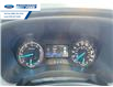 2023 Ford Ranger XLT (Stk: PLE22241) in Wallaceburg - Image 15 of 24