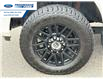 2020 Ford F-250 Lariat (Stk: LED91401T) in Wallaceburg - Image 10 of 26