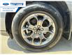 2022 Ford Maverick XLT (Stk: NRA61296A) in Wallaceburg - Image 10 of 25