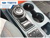 2022 Ford Maverick XLT (Stk: NRA61296A) in Wallaceburg - Image 19 of 25