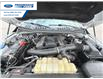 2020 Ford F-150 XLT (Stk: LFB11360) in Wallaceburg - Image 25 of 25