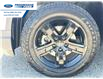 2023 Honda Ridgeline Black Edition (Stk: PB501060T) in Wallaceburg - Image 10 of 26
