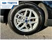 2022 Ford Edge SEL (Stk: NBA44114T) in Wallaceburg - Image 10 of 25