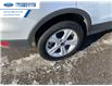2014 Ford Escape SE (Stk: EUD96125A) in Wallaceburg - Image 16 of 16