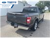 2019 Ford F-150 XLT (Stk: KFD05565T) in Wallaceburg - Image 11 of 16