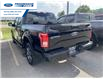 2016 Ford F-150 XLT (Stk: GFC88656T) in Wallaceburg - Image 4 of 4