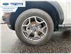 2022 Ford Bronco Sport Badlands (Stk: NRD75617) in Wallaceburg - Image 10 of 24