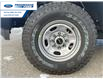 2024 Ford F-250 XL (Stk: REF97449) in Wallaceburg - Image 10 of 23