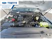 2024 Ford F-250 XL (Stk: REF97449) in Wallaceburg - Image 23 of 23
