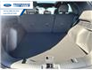 2025 Ford Escape ST-Line (Stk: SUA13793) in Wallaceburg - Image 24 of 26